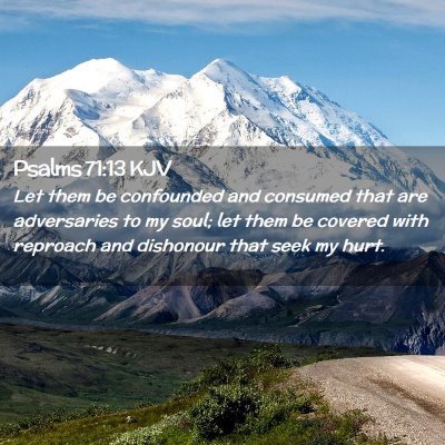 Picture 02 - Psalms 71:13 KJV - Let them be confounded and consumed that are - Bible Verse Picture