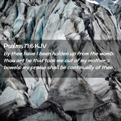 Picture 02 - Psalms 71:6 KJV - By thee have I been holden up from the womb: thou - Bible Verse Picture