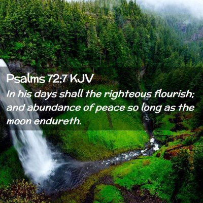 Picture 02 - Psalms 72:7 KJV - In his days shall the righteous flourish; and - Bible Verse Picture