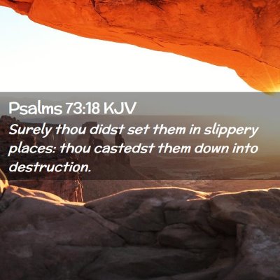 Picture 02 - Psalms 73:18 KJV - Surely thou didst set them in slippery places: - Bible Verse Picture