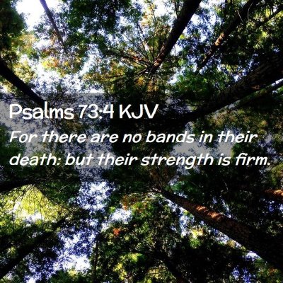 Picture 02 - Psalms 73:4 KJV - For there are no bands in their death: but their - Bible Verse Picture