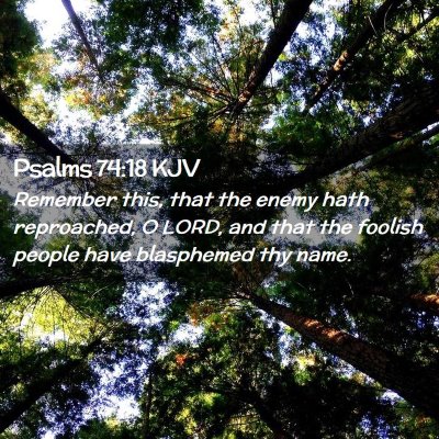 Picture 02 - Psalms 74:18 KJV - Remember this, that the enemy hath reproached, O - Bible Verse Picture