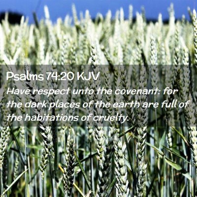 Picture 02 - Psalms 74:20 KJV - Have respect unto the covenant: for the dark - Bible Verse Picture