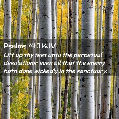 Picture 02 - Psalms 74:3 KJV - Lift up thy feet unto the perpetual desolations; - Bible Verse Picture