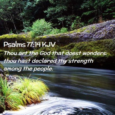 Picture 02 - Psalms 77:14 KJV - Thou art the God that doest wonders: thou hast - Bible Verse Picture
