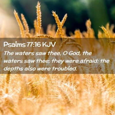 Picture 02 - Psalms 77:16 KJV - The waters saw thee, O God, the waters saw thee; - Bible Verse Picture