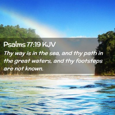 Picture 02 - Psalms 77:19 KJV - Thy way is in the sea, and thy path in the great - Bible Verse Picture