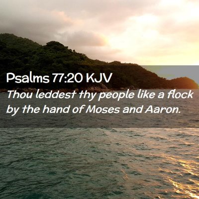 Picture 02 - Psalms 77:20 KJV - Thou leddest thy people like a flock by the hand - Bible Verse Picture
