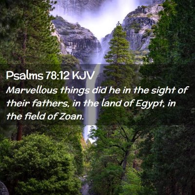Picture 02 - Psalms 78:12 KJV - Marvellous things did he in the sight of their - Bible Verse Picture