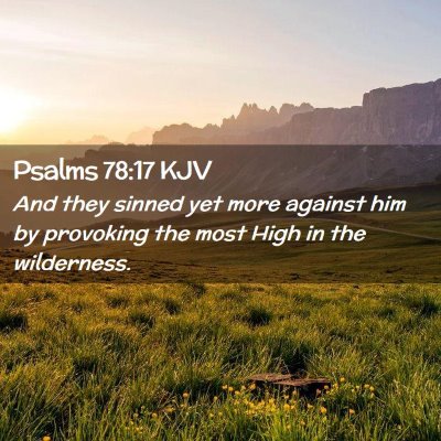 Picture 02 - Psalms 78:17 KJV - And they sinned yet more against him by provoking - Bible Verse Picture