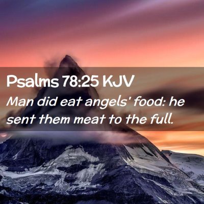 Picture 02 - Psalms 78:25 KJV - Man did eat angels' food: he sent them meat to - Bible Verse Picture