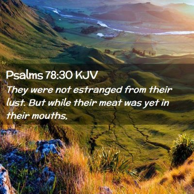 Picture 02 - Psalms 78:30 KJV - They were not estranged from their lust. But - Bible Verse Picture