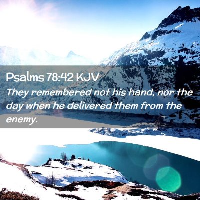 Picture 02 - Psalms 78:42 KJV - They remembered not his hand, nor the day when he - Bible Verse Picture