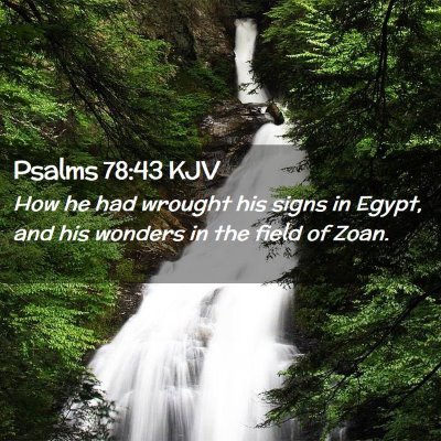 Picture 02 - Psalms 78:43 KJV - How he had wrought his signs in Egypt, and his - Bible Verse Picture