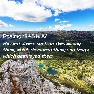 Picture 02 - Psalms 78:45 KJV - He sent divers sorts of flies among them, which - Bible Verse Picture