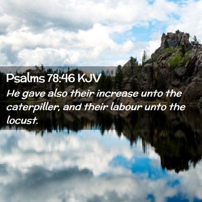 Picture 02 - Psalms 78:46 KJV - He gave also their increase unto the caterpiller, - Bible Verse Picture