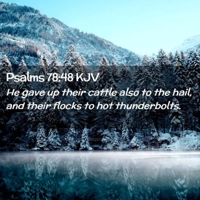 Picture 02 - Psalms 78:48 KJV - He gave up their cattle also to the hail, and - Bible Verse Picture