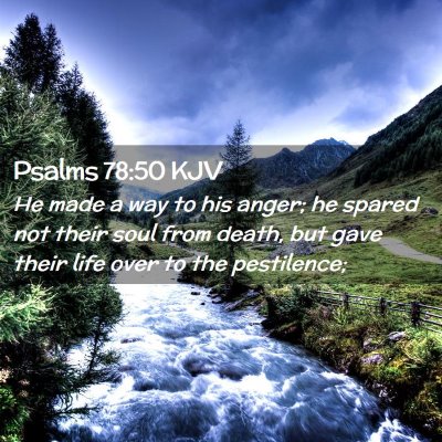 Picture 02 - Psalms 78:50 KJV - He made a way to his anger; he spared not their - Bible Verse Picture