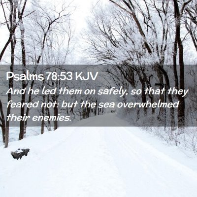 Picture 02 - Psalms 78:53 KJV - And he led them on safely, so that they feared - Bible Verse Picture