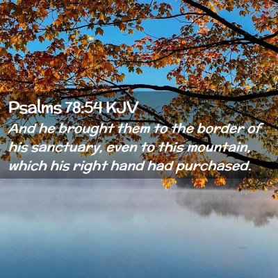 Picture 02 - Psalms 78:54 KJV - And he brought them to the border of his - Bible Verse Picture