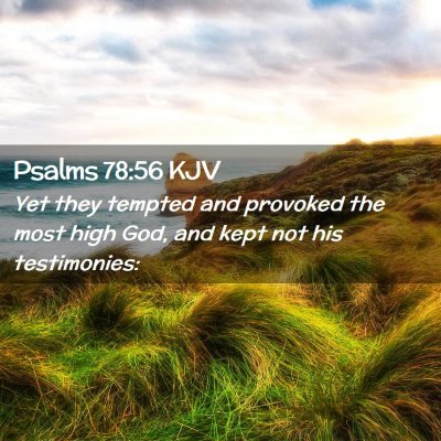 Picture 02 - Psalms 78:56 KJV - Yet they tempted and provoked the most high God, - Bible Verse Picture