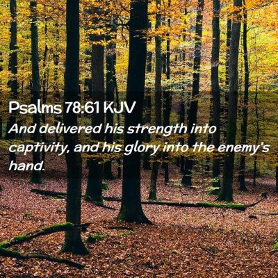 Picture 02 - Psalms 78:61 KJV - And delivered his strength into captivity, and - Bible Verse Picture
