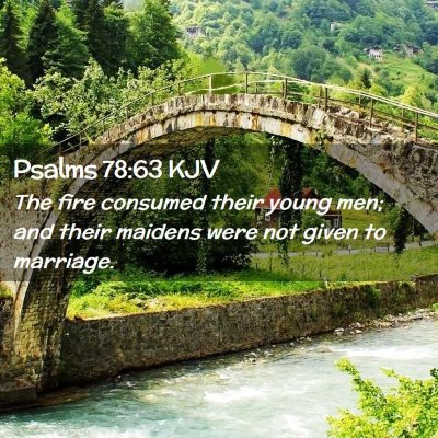 Picture 02 - Psalms 78:63 KJV - The fire consumed their young men; and their - Bible Verse Picture