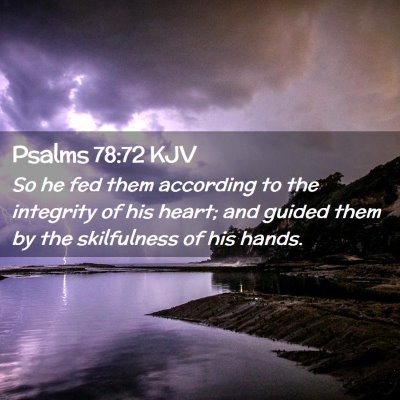Picture 02 - Psalms 78:72 KJV - So he fed them according to the integrity of his - Bible Verse Picture