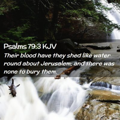 Picture 02 - Psalms 79:3 KJV - Their blood have they shed like water round about - Bible Verse Picture