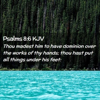 Picture 02 - Psalms 8:6 KJV - Thou madest him to have dominion over the works - Bible Verse Picture