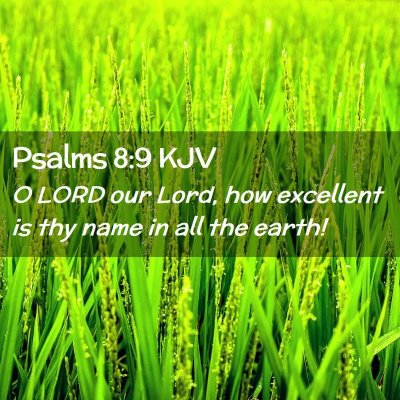 Picture 02 - Psalms 8:9 KJV - O LORD our Lord, how excellent is thy name in all - Bible Verse Picture