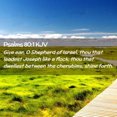 Picture 02 - Psalms 80:1 KJV - Give ear, O Shepherd of Israel, thou that leadest - Bible Verse Picture