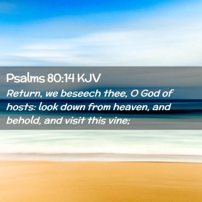 Picture 02 - Psalms 80:14 KJV - Return, we beseech thee, O God of hosts: look - Bible Verse Picture