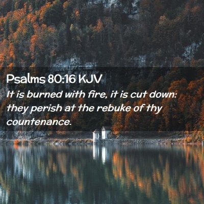 Picture 02 - Psalms 80:16 KJV - It is burned with fire, it is cut down: they - Bible Verse Picture