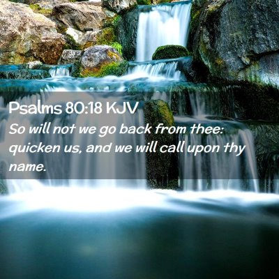 Picture 02 - Psalms 80:18 KJV - So will not we go back from thee: quicken us, and - Bible Verse Picture