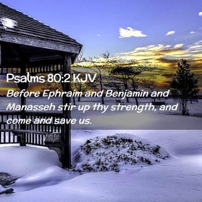 Picture 02 - Psalms 80:2 KJV - Before Ephraim and Benjamin and Manasseh stir up - Bible Verse Picture