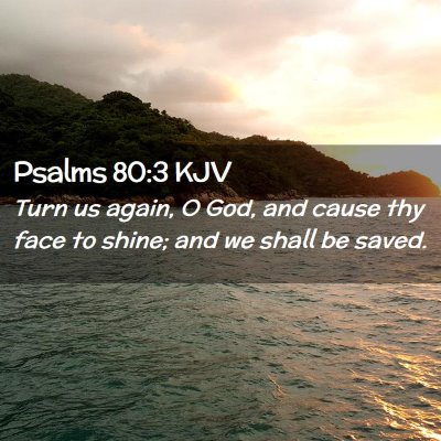Picture 02 - Psalms 80:3 KJV - Turn us again, O God, and cause thy face to - Bible Verse Picture