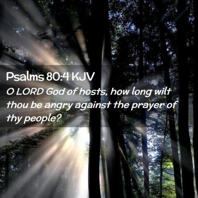 Picture 02 - Psalms 80:4 KJV - O LORD God of hosts, how long wilt thou be angry - Bible Verse Picture