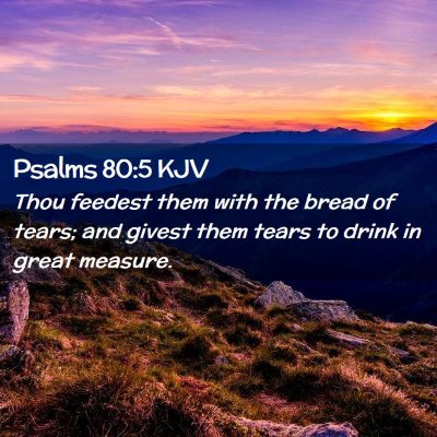 Picture 02 - Psalms 80:5 KJV - Thou feedest them with the bread of tears; and - Bible Verse Picture