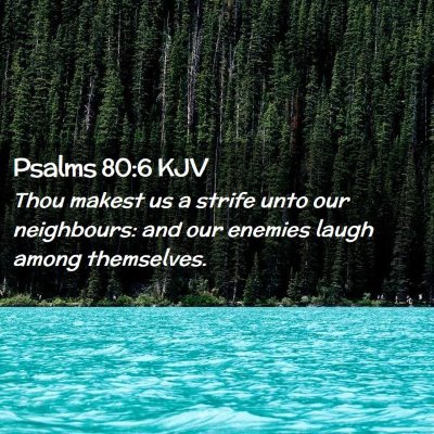 Picture 02 - Psalms 80:6 KJV - Thou makest us a strife unto our neighbours: and - Bible Verse Picture