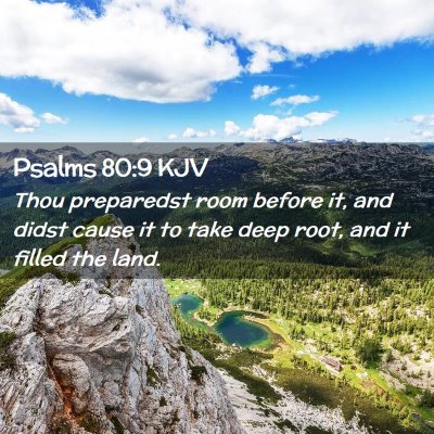 Picture 02 - Psalms 80:9 KJV - Thou preparedst room before it, and didst cause - Bible Verse Picture