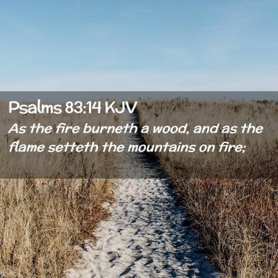 Picture 02 - Psalms 83:14 KJV - As the fire burneth a wood, and as the flame - Bible Verse Picture