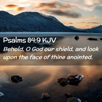 Picture 02 - Psalms 84:9 KJV - Behold, O God our shield, and look upon the face - Bible Verse Picture