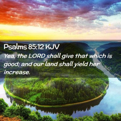 Picture 02 - Psalms 85:12 KJV - Yea, the LORD shall give that which is good; and - Bible Verse Picture