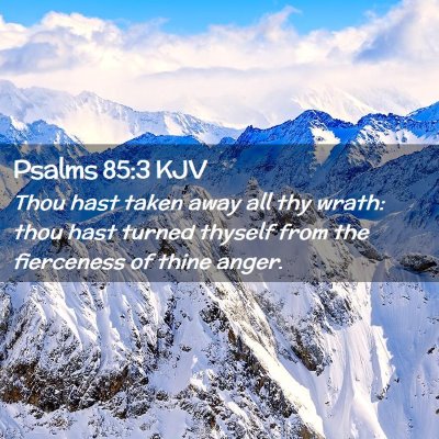 Picture 02 - Psalms 85:3 KJV - Thou hast taken away all thy wrath: thou hast - Bible Verse Picture