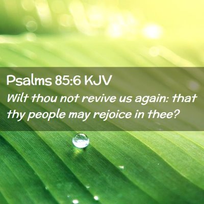 Picture 02 - Psalms 85:6 KJV - Wilt thou not revive us again: that thy people - Bible Verse Picture