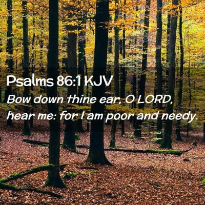 Picture 02 - Psalms 86:1 KJV - Bow down thine ear, O LORD, hear me: for I am - Bible Verse Picture