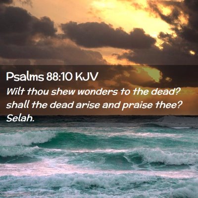 Picture 02 - Psalms 88:10 KJV - Wilt thou shew wonders to the dead? shall the - Bible Verse Picture
