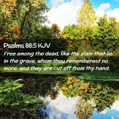 Picture 02 - Psalms 88:5 KJV - Free among the dead, like the slain that lie in - Bible Verse Picture
