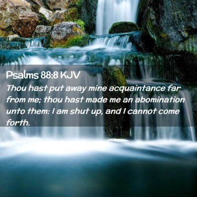 Picture 02 - Psalms 88:8 KJV - Thou hast put away mine acquaintance far from me; - Bible Verse Picture